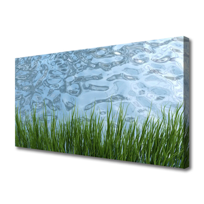 Obraz Canvas Tráva voda príroda