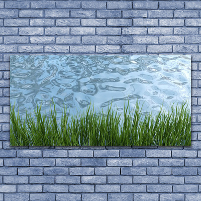 Obraz Canvas Tráva voda príroda