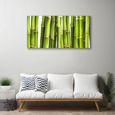 Obraz Canvas Bambus rastlina príroda
