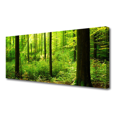 Obraz Canvas Les zeleň stromy príroda