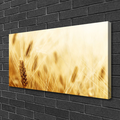 Obraz Canvas Pšenica rastlina príroda