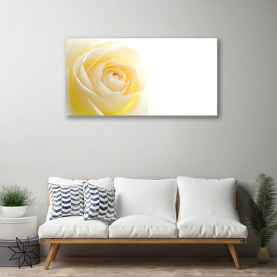 Obraz Canvas Ruže kvet rastlina
