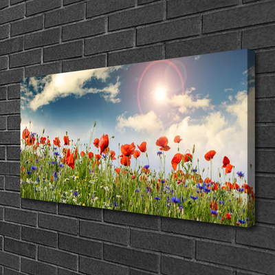 Obraz Canvas Lúka kvety slnko príroda