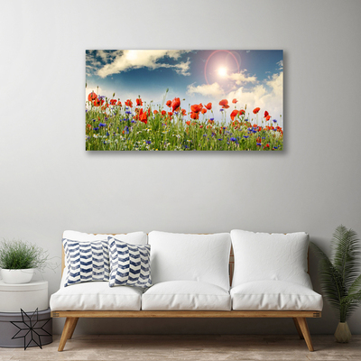 Obraz Canvas Lúka kvety slnko príroda