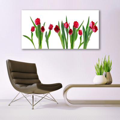 Obraz Canvas Tulipány kvety rastlina