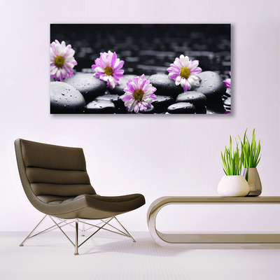 Obraz Canvas Kvet kamene rastlina