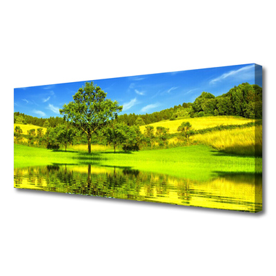 Obraz Canvas Lúka strom príroda