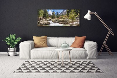 Obraz Canvas Hora les kamene rieka