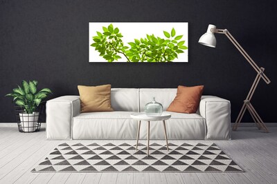 Obraz Canvas Vetva listy rastlina príroda