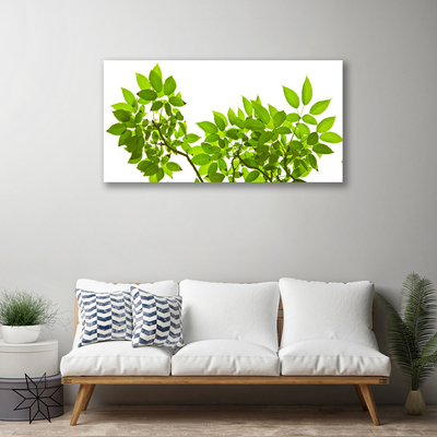 Obraz Canvas Vetva listy rastlina príroda