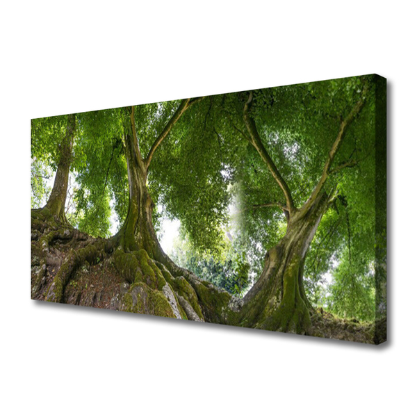 Obraz Canvas Stromy rastlina príroda