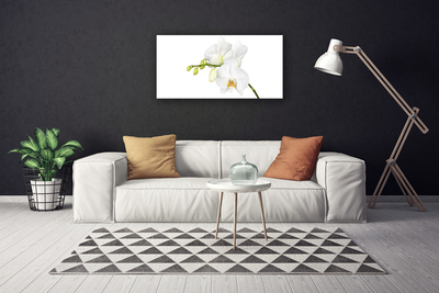 Obraz Canvas Orchidea kvety príroda