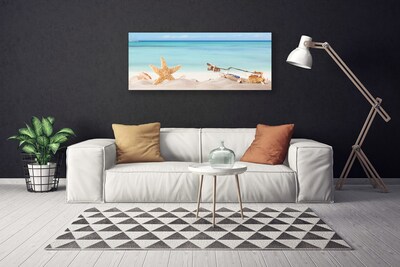 Obraz Canvas Hviezdice mušle pláž