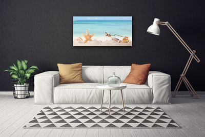 Obraz Canvas Hviezdice mušle pláž