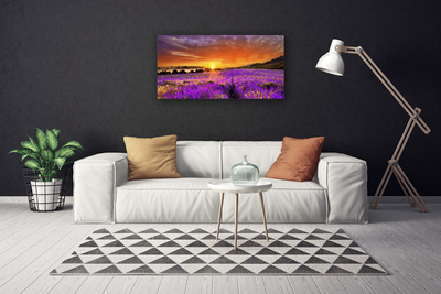Obraz Canvas Západ slnka pole levanduľa