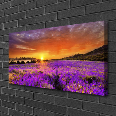 Obraz Canvas Západ slnka pole levanduľa