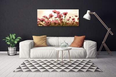Obraz Canvas Poľné kvety lúka príroda
