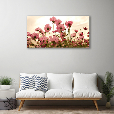 Obraz Canvas Poľné kvety lúka príroda