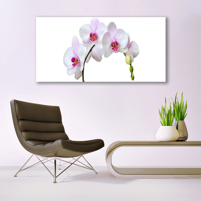 Obraz Canvas Vstavač orchidea kvety