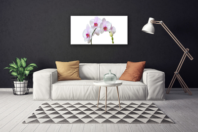 Obraz Canvas Vstavač orchidea kvety