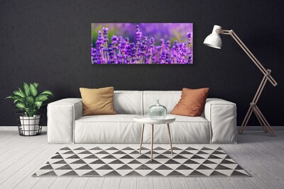 Obraz Canvas Pole fialová levanduľa