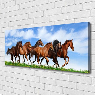 Obraz Canvas Cválajúci kone na pastvine