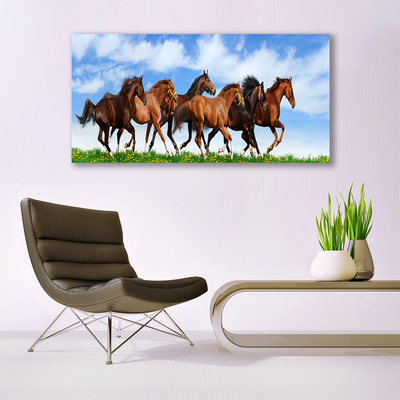 Obraz Canvas Cválajúci kone na pastvine