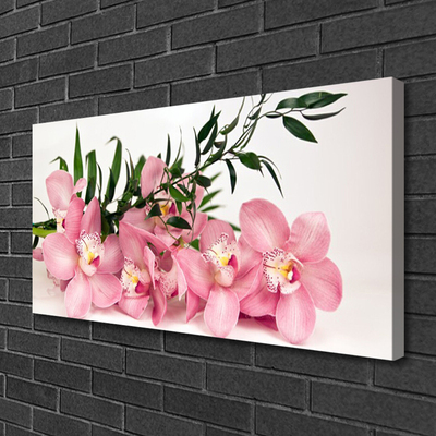 Obraz Canvas Orchidea kvety kúpele