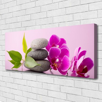 Obraz Canvas Orchidea vstavač kamene