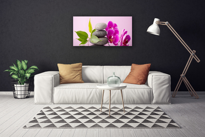 Obraz Canvas Orchidea vstavač kamene