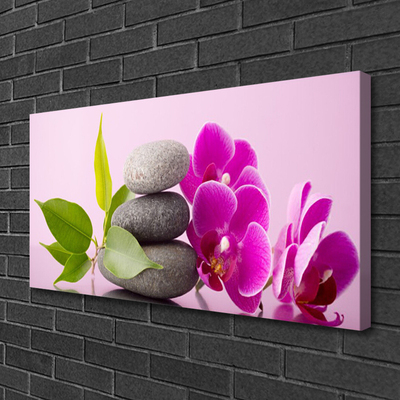 Obraz Canvas Orchidea vstavač kamene