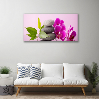 Obraz Canvas Orchidea vstavač kamene