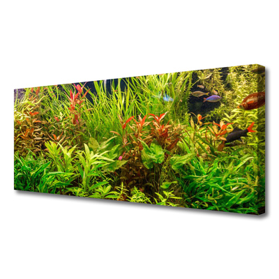 Obraz Canvas Akvárium rybičky rastliny