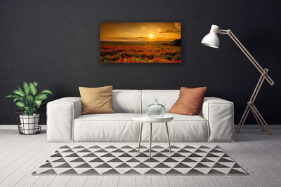 Obraz Canvas Pole maky západ slnka lúka