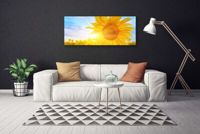 Obraz Canvas Slnečnica kvet slnko