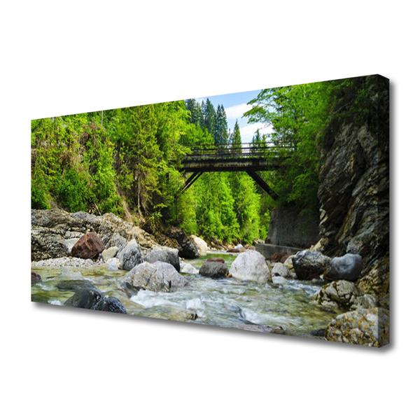 Obraz Canvas Drevený most v lese