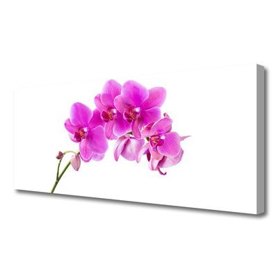 Obraz Canvas Vstavač kvet orchidea