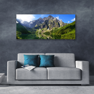 Obraz Canvas Tatry hory morské oko les