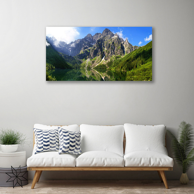 Obraz Canvas Tatry hory morské oko les