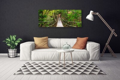 Obraz Canvas Most džungľa tropický les