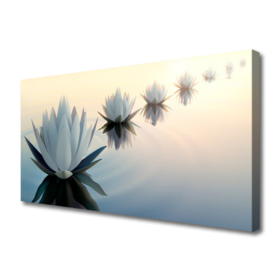 Obraz Canvas Vodné lilie biely lekno