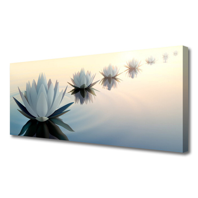 Obraz Canvas Vodné lilie biely lekno