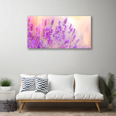 Obraz Canvas Levanduľovej pole slnko kvety