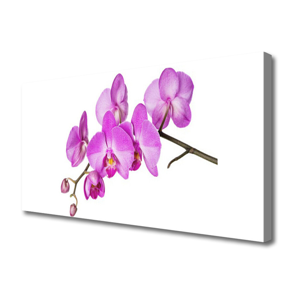 Obraz Canvas Vstavač orchidea kvety