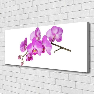 Obraz Canvas Vstavač orchidea kvety