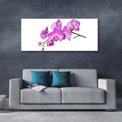 Obraz Canvas Vstavač orchidea kvety