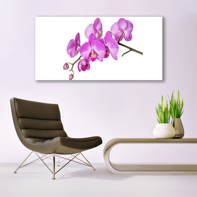 Obraz Canvas Vstavač orchidea kvety