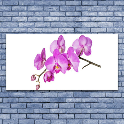 Obraz Canvas Vstavač orchidea kvety