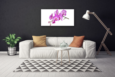 Obraz Canvas Vstavač orchidea kvety