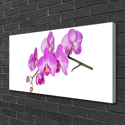 Obraz Canvas Vstavač orchidea kvety